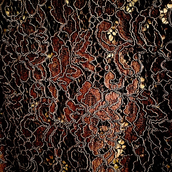 NWOT Zara Lace high neck - Picture 3 of 3